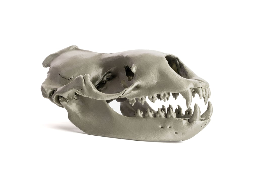 Original Prusa MK4S 3D Printer Sample 1