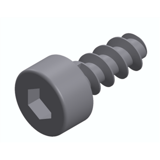 Ultimaker Hex Socket Head Remform Screw 2.5 x 6