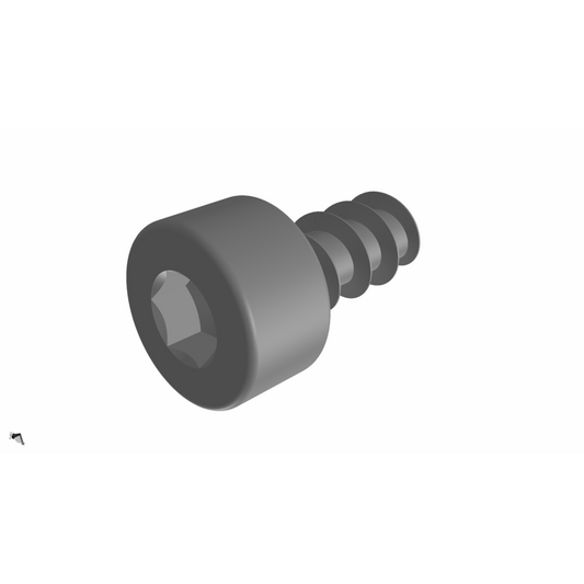 Ultimaker Hex socket head plastic screw 2,5 x 5